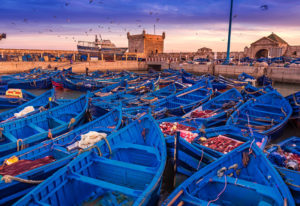 Read more about the article DAY TRIP TO ESSAOUIRA