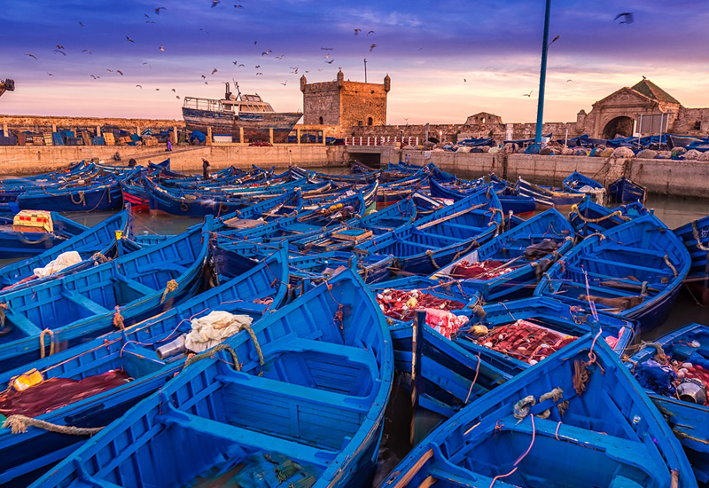 You are currently viewing DAY TRIP TO ESSAOUIRA