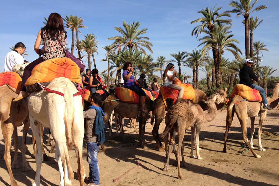 Camel-Ride-Marrakech
