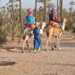 Camel Ride in the Palm Grove of Marrakech