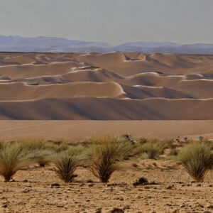 Read more about the article Exploring the Agafay Desert: A Guide to Morocco’s Hidden Gem